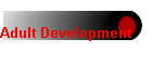 Adult Development